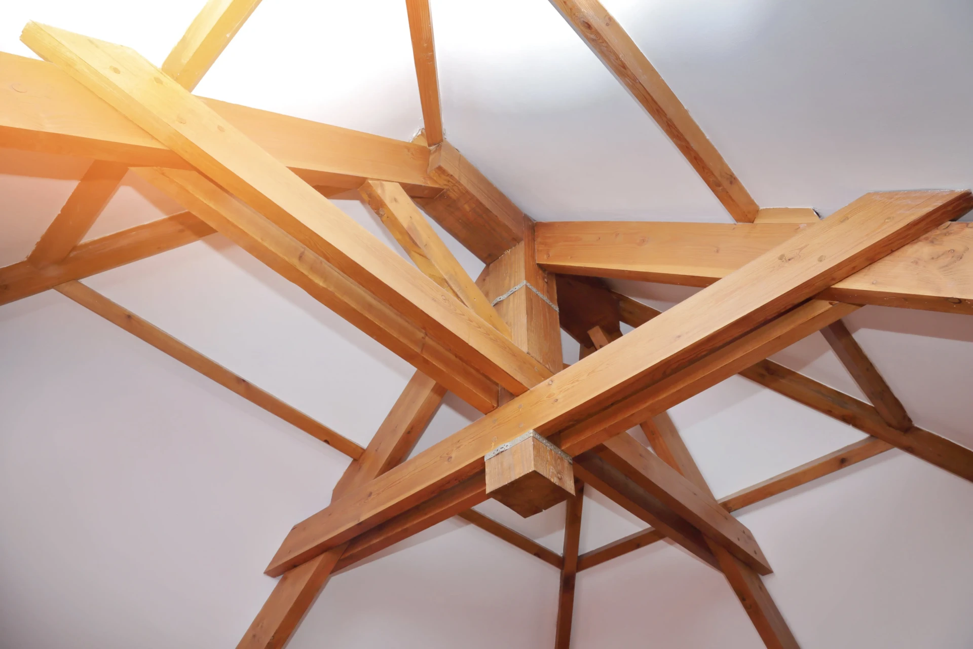 charpente traitée roh